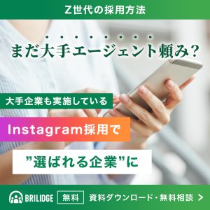 SNS採用_BRILIDGE01