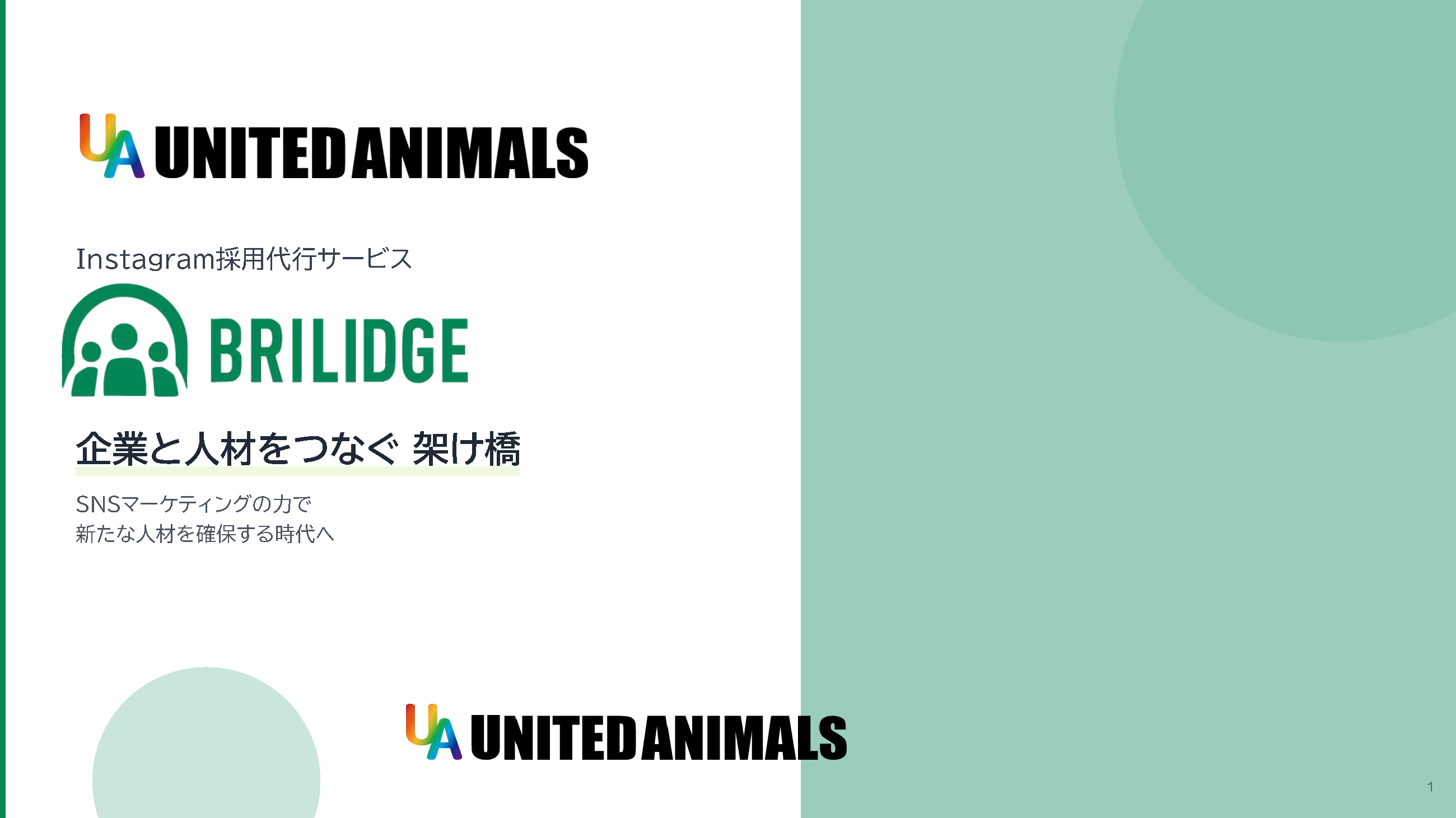 briligde資料DL